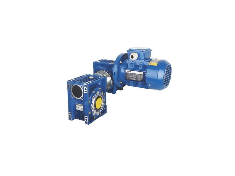 DRV Double Worm Gear Reducer (bằng tiếng Anh)