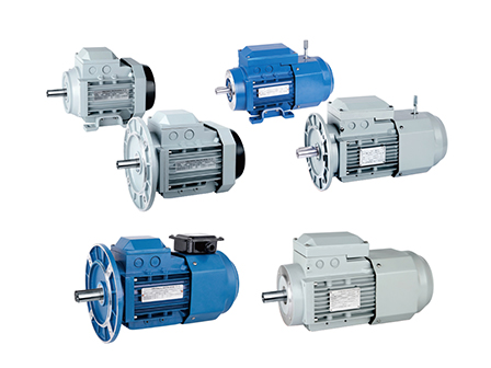 Chuyên gia giải pháp động cơ không đồng bộ không đồng bộ và hiệu quả